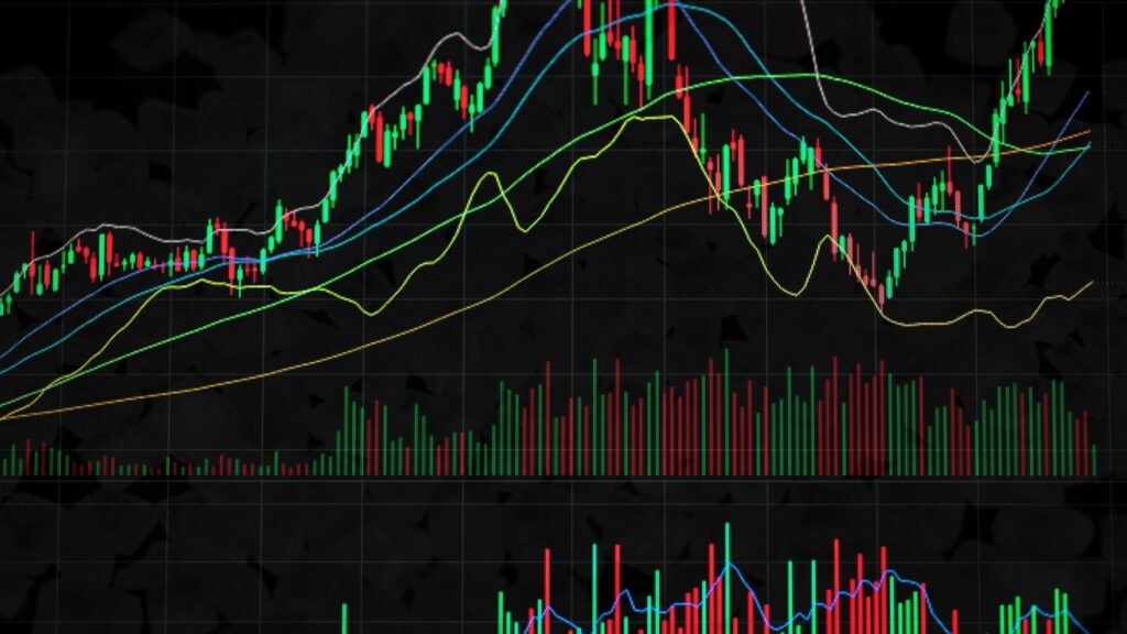 Navigating the Global Sugar Market: Price Trends, Risks & Opportunities